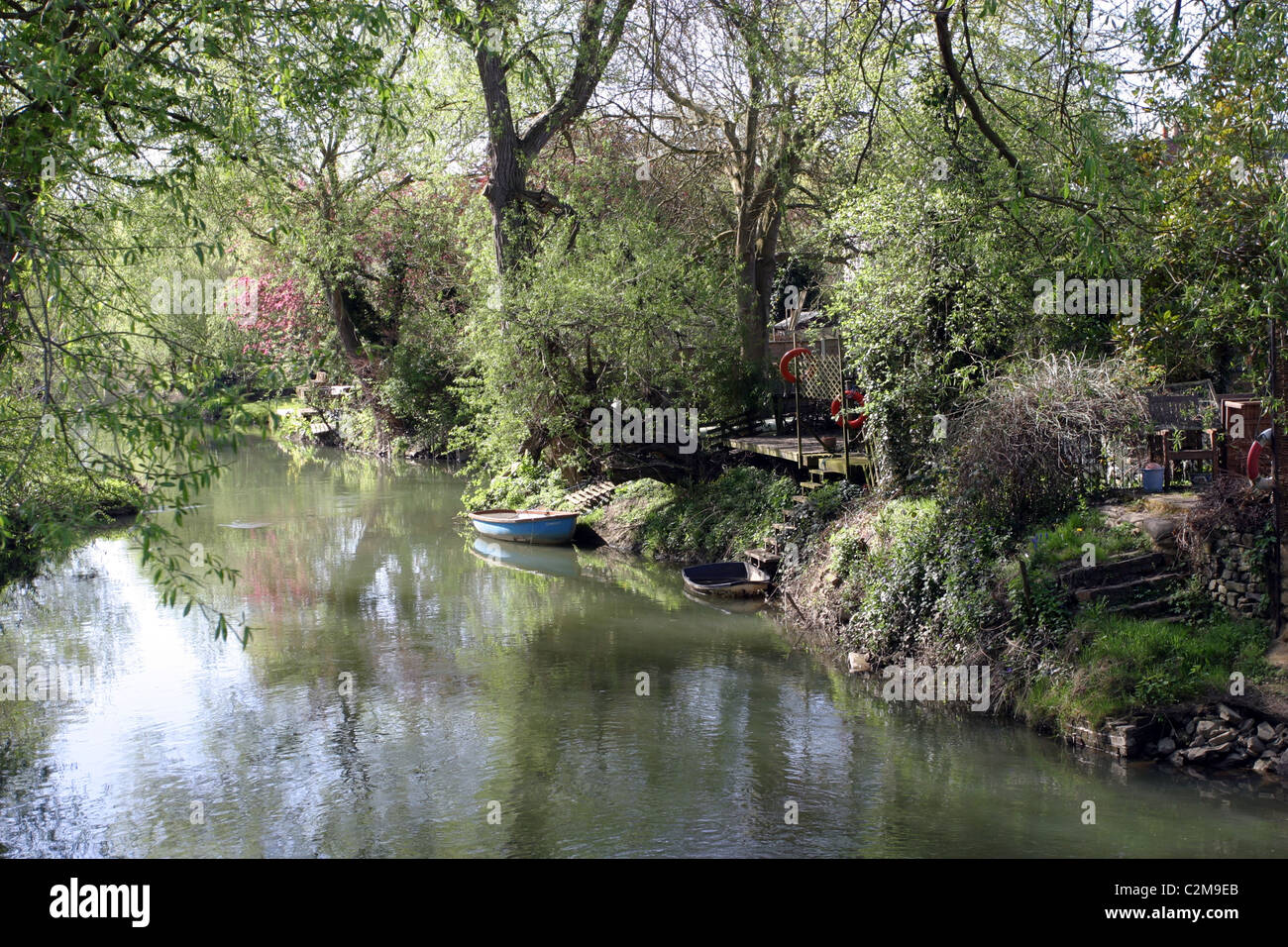 Riverside Gardens, Thames tributario, Oxford, Inghilterra Foto Stock