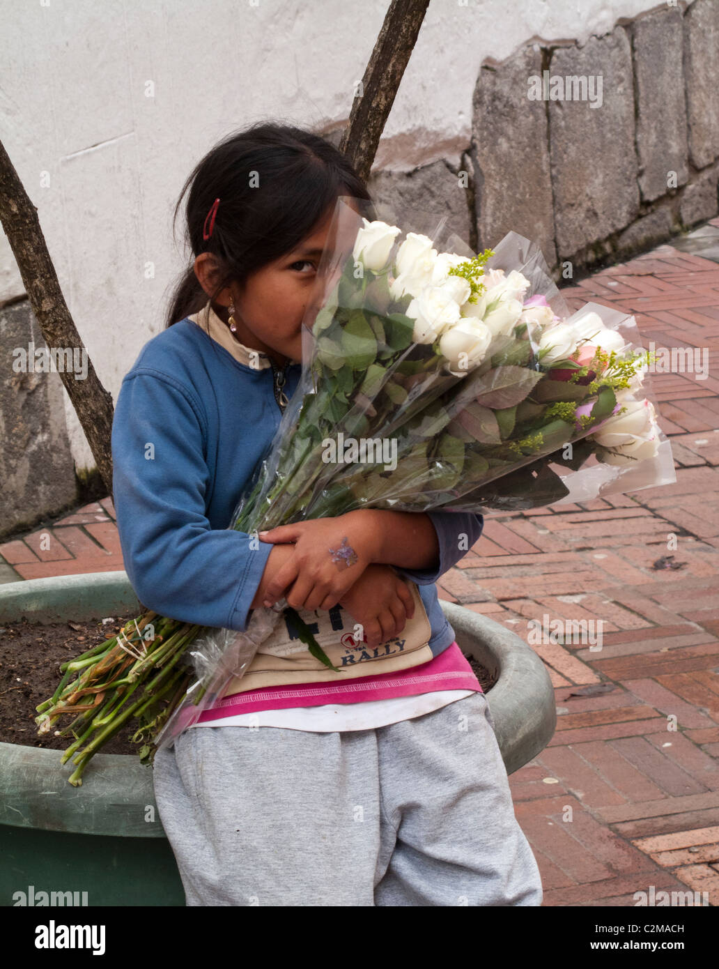 Ragazza timida venditore di fiori, Quito, Ecuador, Sud America Foto Stock