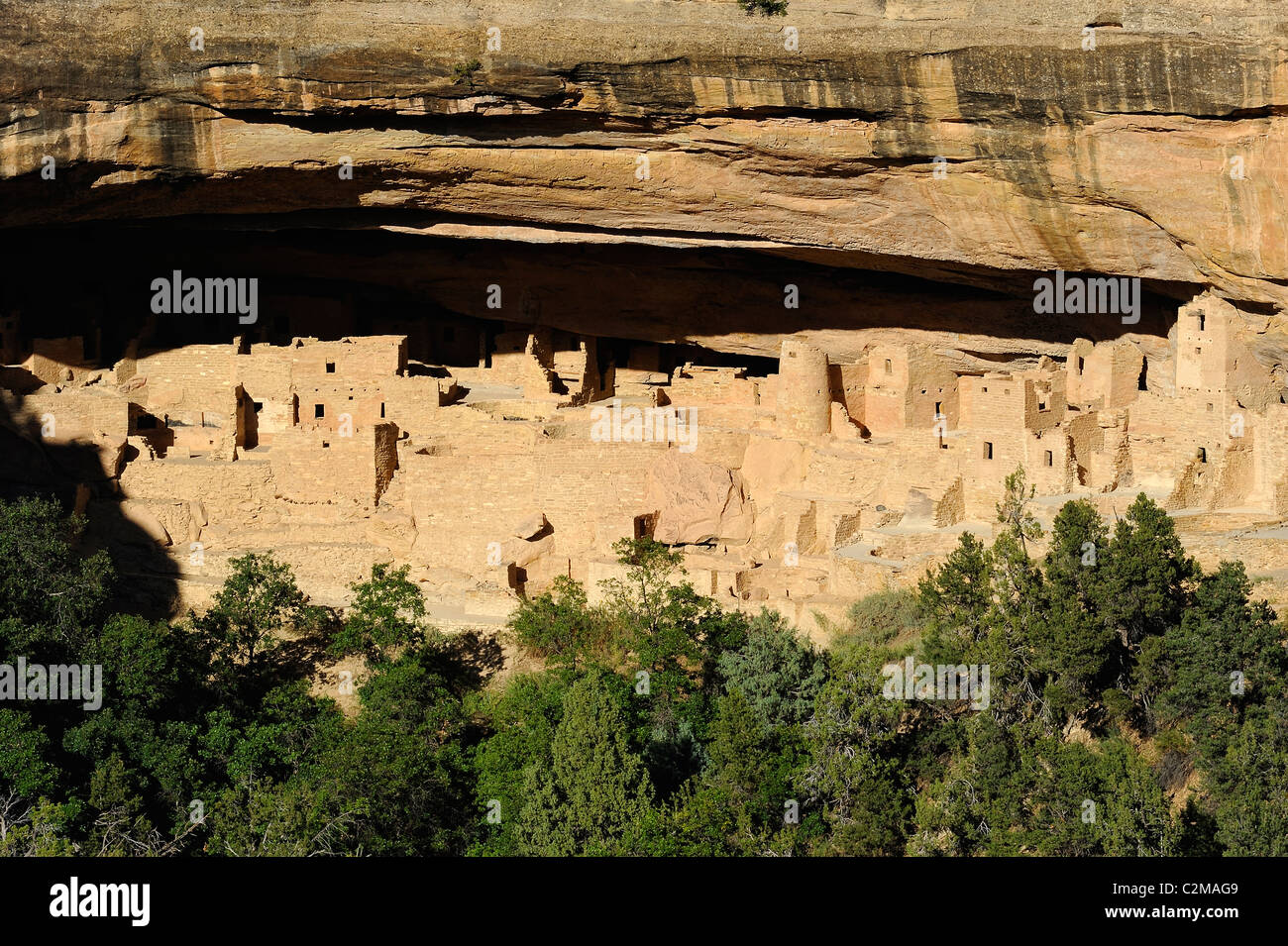 Cliff Palace, cliff dimora nel Parco Nazionale di Mesa Verde Foto Stock