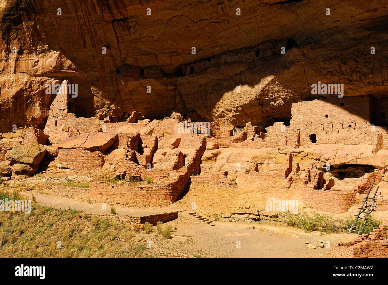 Casa lunga, cliff dimora nel Parco Nazionale di Mesa Verde Foto Stock