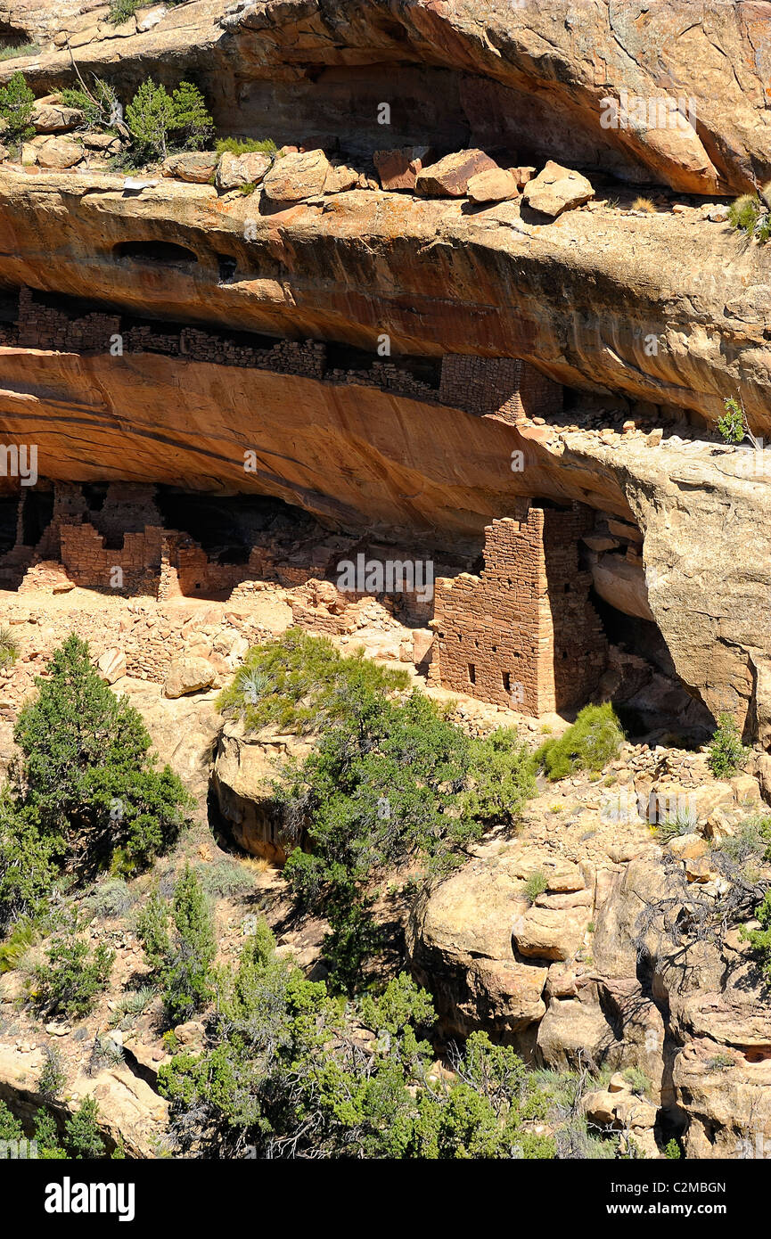Casa Kodak, cliff dimora nel Parco Nazionale di Mesa Verde Foto Stock