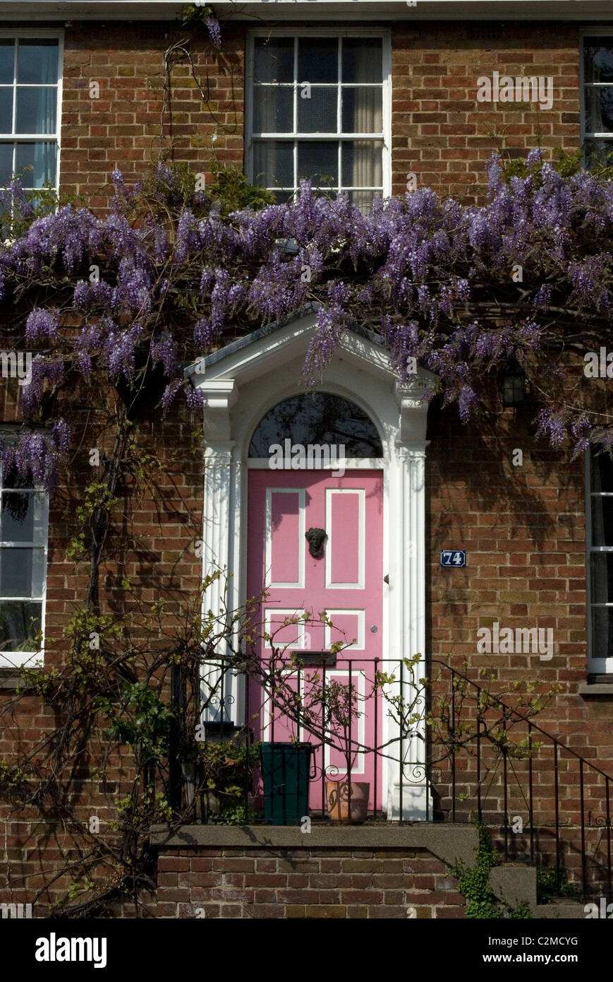 Il Glicine su Kew verde, Kew, Greater London Foto Stock