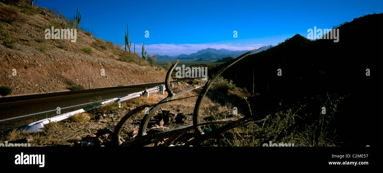 Rio el Novillo, Mexican Federal Highway No. 1 segue la lunghezza della penisola della Baja California da Cabo San Lucas (BCS), a Foto Stock