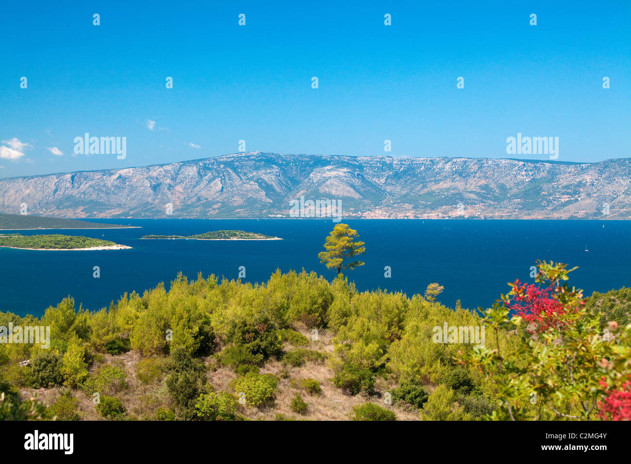 Isola di Hvar la natura in Croazia; Foto Stock
