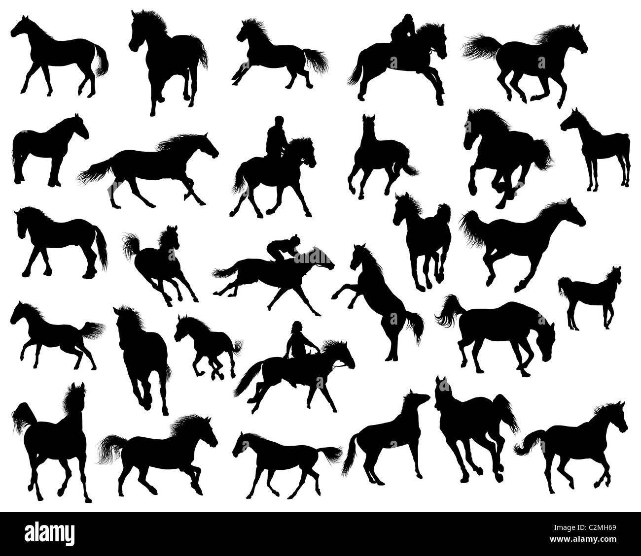 Vettore di grande raccolta di diverse sagome di cavalli Foto Stock