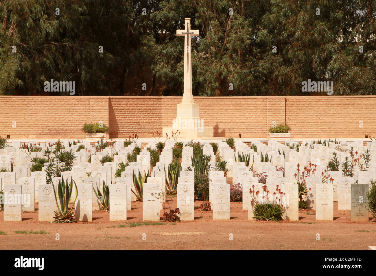 Bengasi Cimitero di Guerra, Libia orientale. Foto Stock