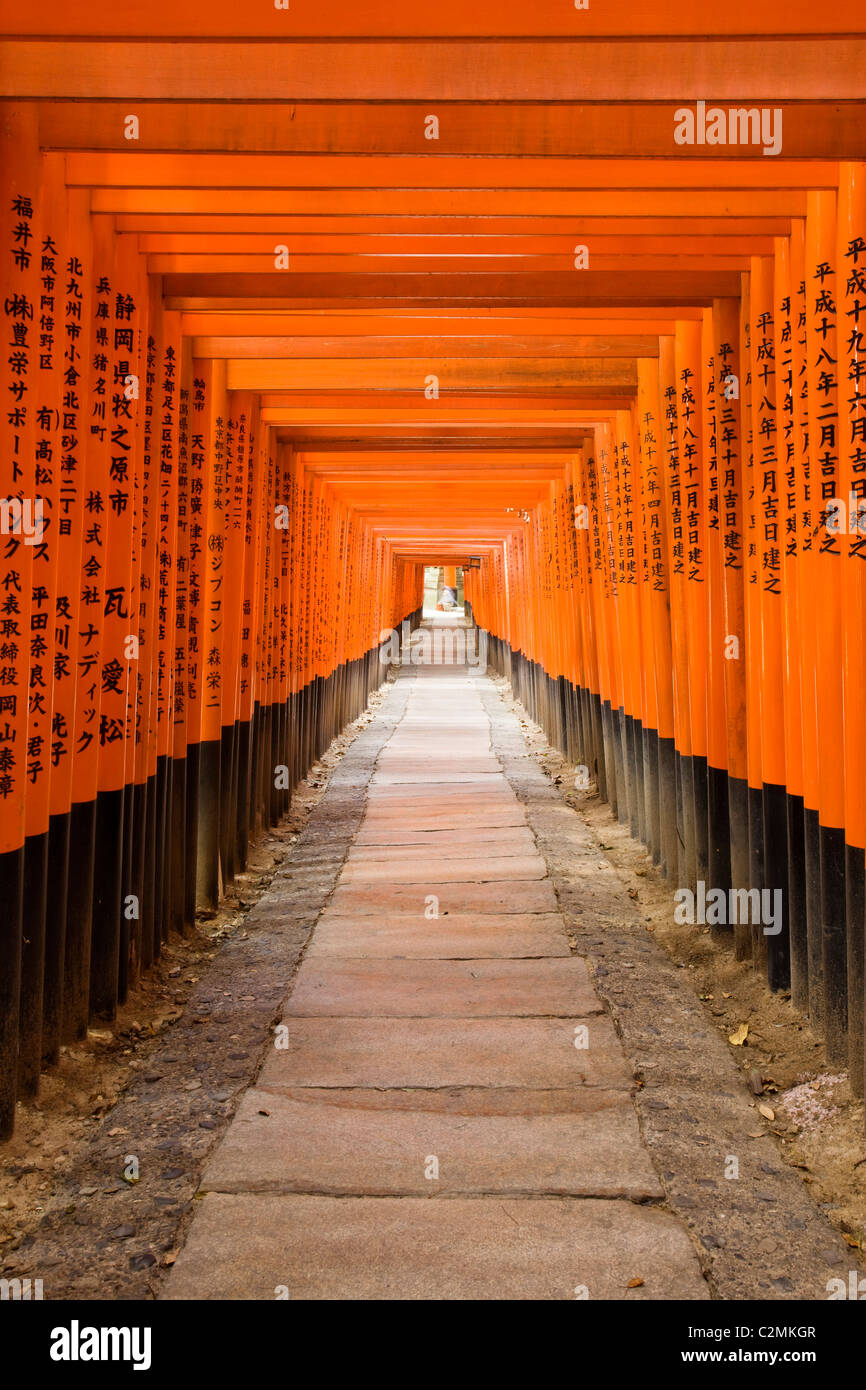 Torii gate a Fushimi Inari Shrine, Kyoto, Giappone Foto Stock