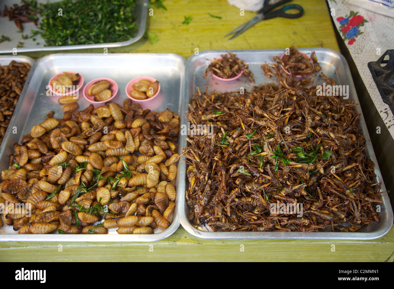 Grilli fritti e bug per la vendita su un mercato thailandese stallo, Phuket , della Thailandia Foto Stock