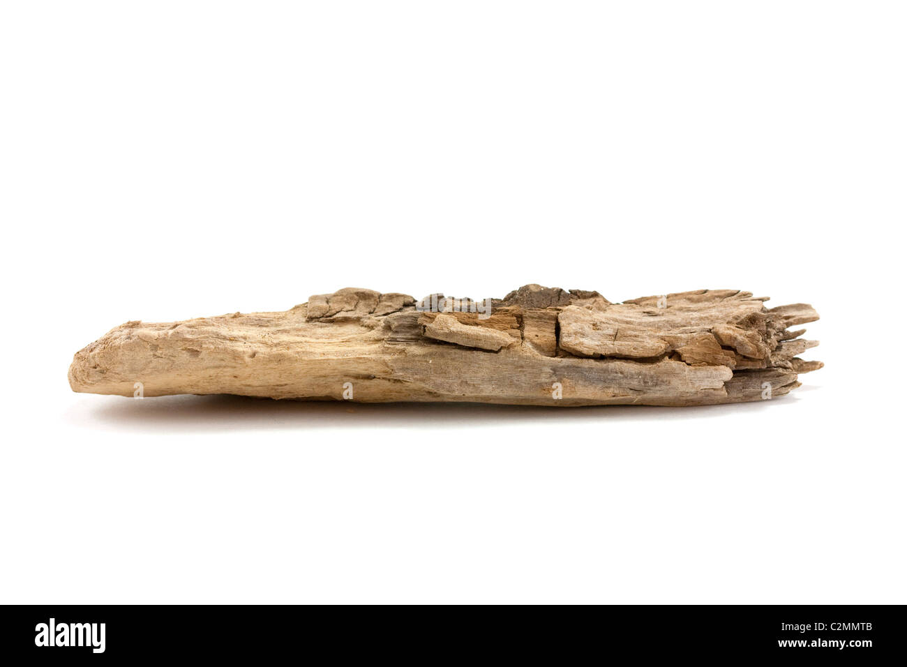 Macro close up di un pezzo di driftwood trovati sulla spiaggia in suffolk, Regno Unito Foto Stock