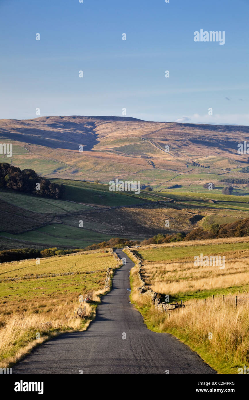 Vuoto lungo strada rurale attraverso un paesaggio autunnale verso la brughiera di colline in Yorkshire Dales, England, Regno Unito Foto Stock