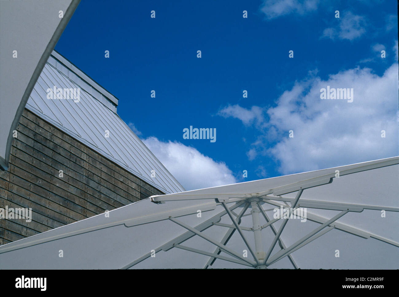 River & Rowing Museum, Henley on Thames. Dettagli esterni di bar ombrelloni. Foto Stock