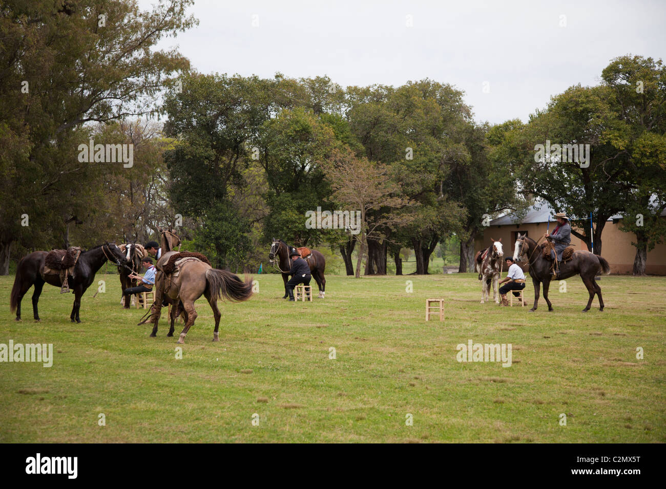 Gauchos dimostrando la loro equitazione con un gioco delle sedie musicali, La Caranbassa, Argentina Foto Stock