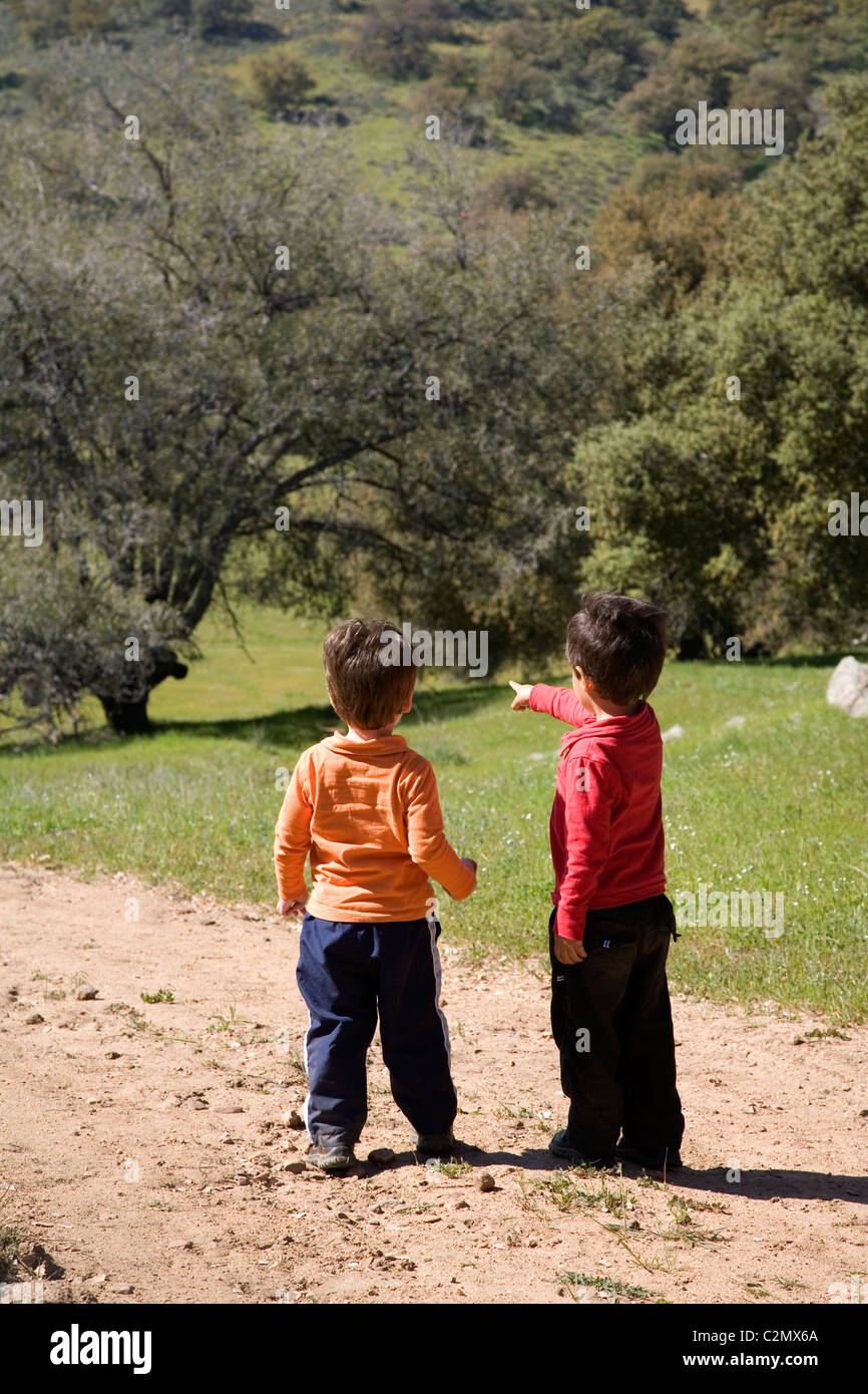 Due fratelli escursionismo su un sentiero di 3 e 4 anni, Santa Ysabel spazio aperto, San Diego County, California (MR) Foto Stock