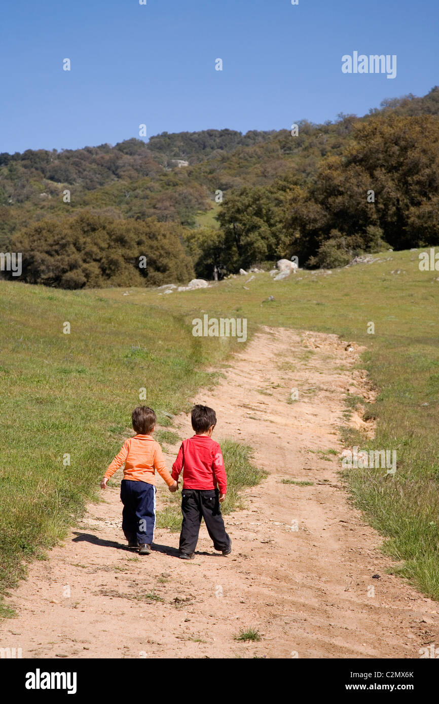 Due fratelli escursionismo su un sentiero di 3 e 4 anni, Santa Ysabel spazio aperto, San Diego County, California (MR) Foto Stock