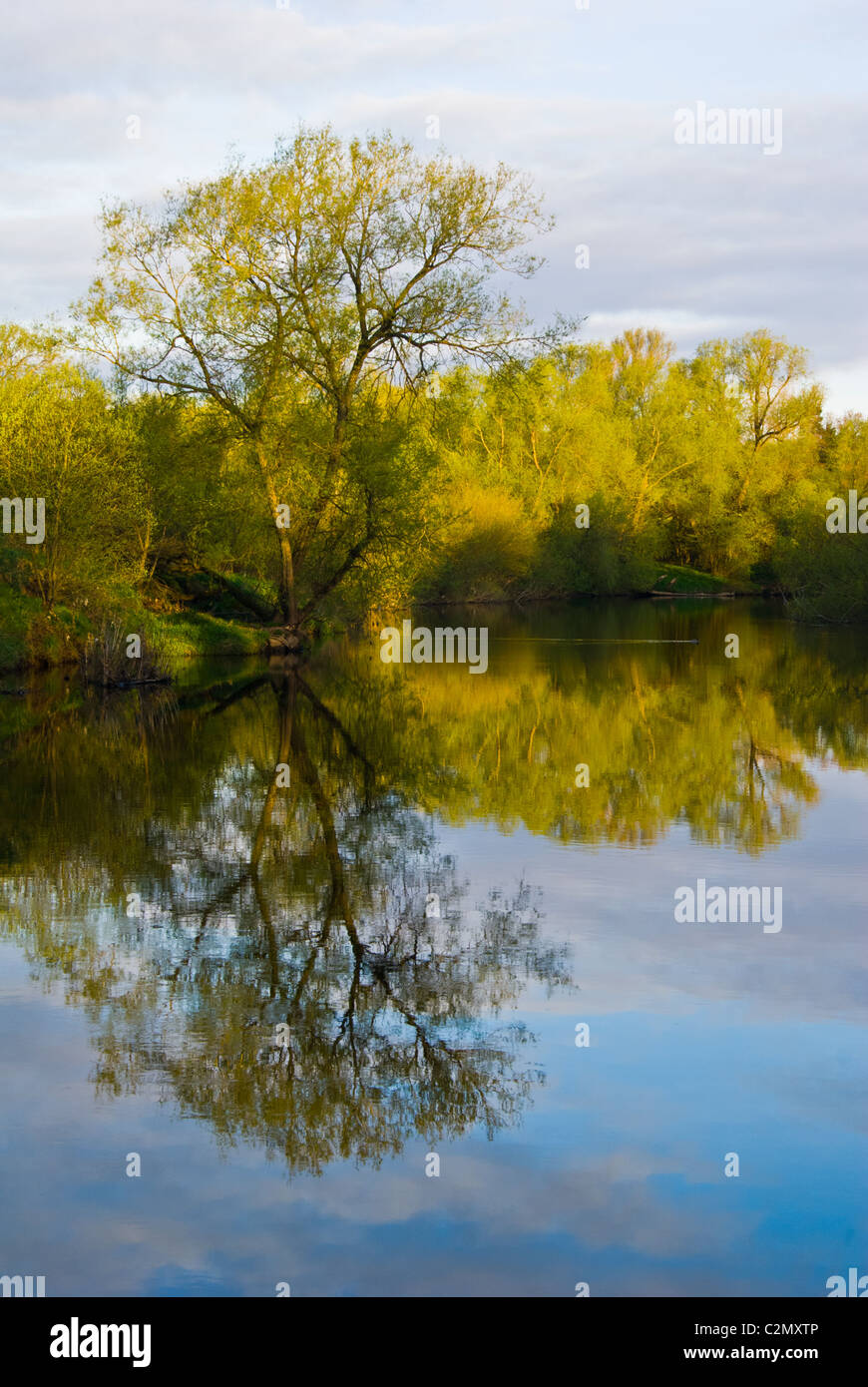 Per prima cosa su una mattina di primavera e la campagna circostante riflettendo sul fiume Clyde in Baroni Haugh Riserva Naturale. Foto Stock