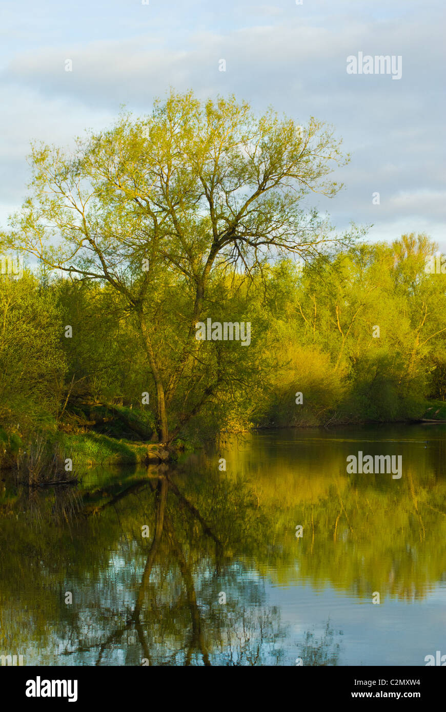 Per prima cosa su una mattina di primavera e la campagna circostante riflettendo sul fiume Clyde in Baroni Haugh Riserva Naturale. Foto Stock