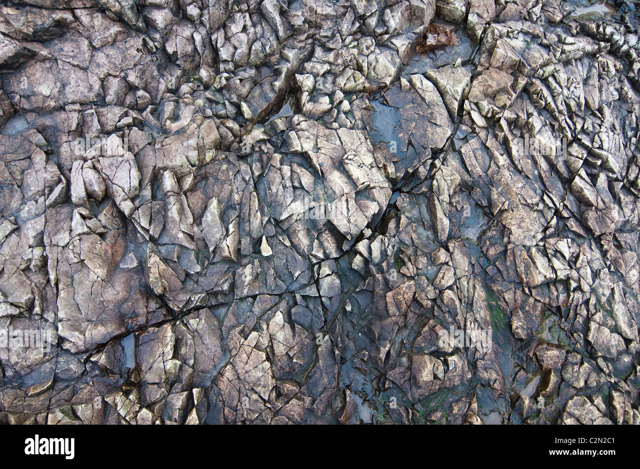 Magma vulcanico rock texture a Cocklawburn, Northumberland, Inghilterra, Regno Unito. Foto Stock