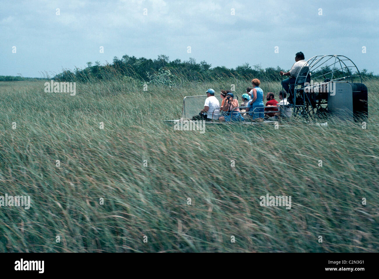 Airboat tour attraverso le Everglades offrono ai visitatori una vista ravvicinata della sua famosa 'Fiume di erba " Zone umide che coprono migliaia di ettari di terreno in Florida. Foto Stock