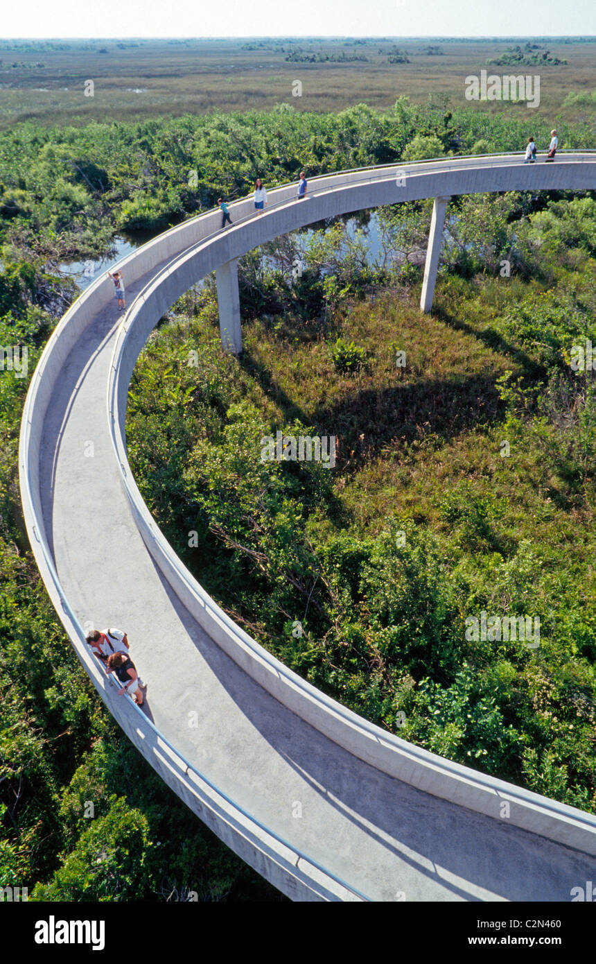 Una passerella elevata che conduce alla valle di squalo torre di osservazione in Everglades National Park, un deserto nel sud della Florida, Stati Uniti d'America. Foto Stock