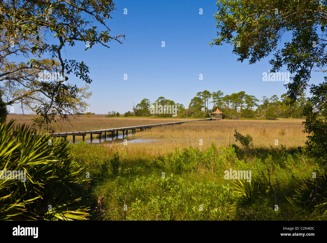 Marsh boardwalk in caccia Island State Park in The Beaufort area della Carolina del Sud Foto Stock