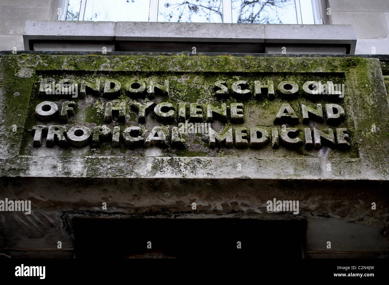 Moss coperto ha voluto firmare in pietra per la scuola londinese di igiene e medicina tropicale. Foto Stock