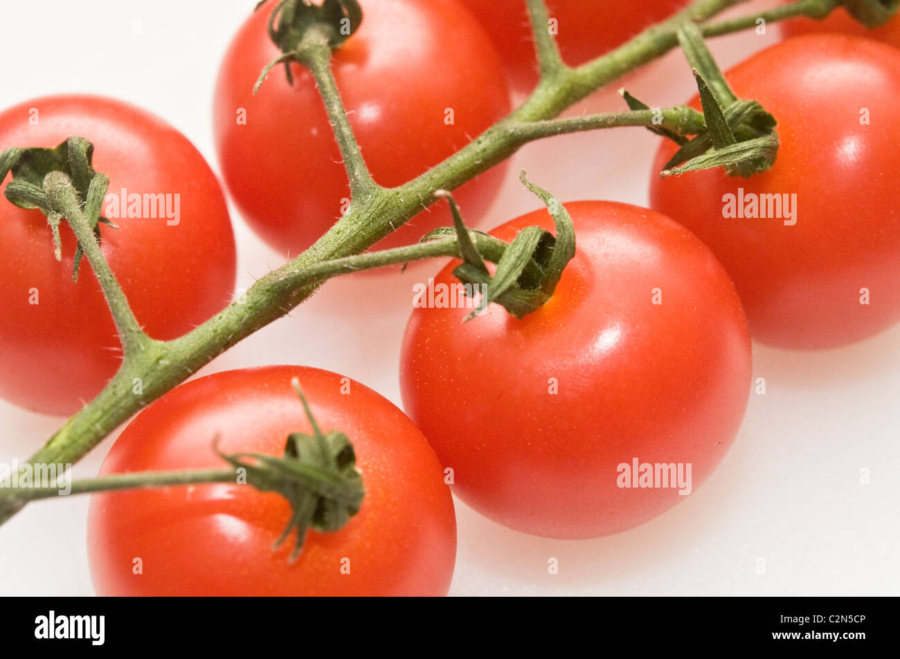 Vite di pomodori maturi Foto Stock