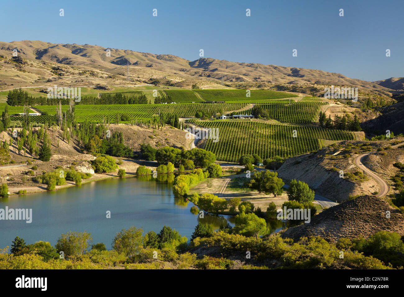 Vigneti, ingresso di Bannockburn, Lake Dunstan di Central Otago, Isola del Sud, Nuova Zelanda Foto Stock