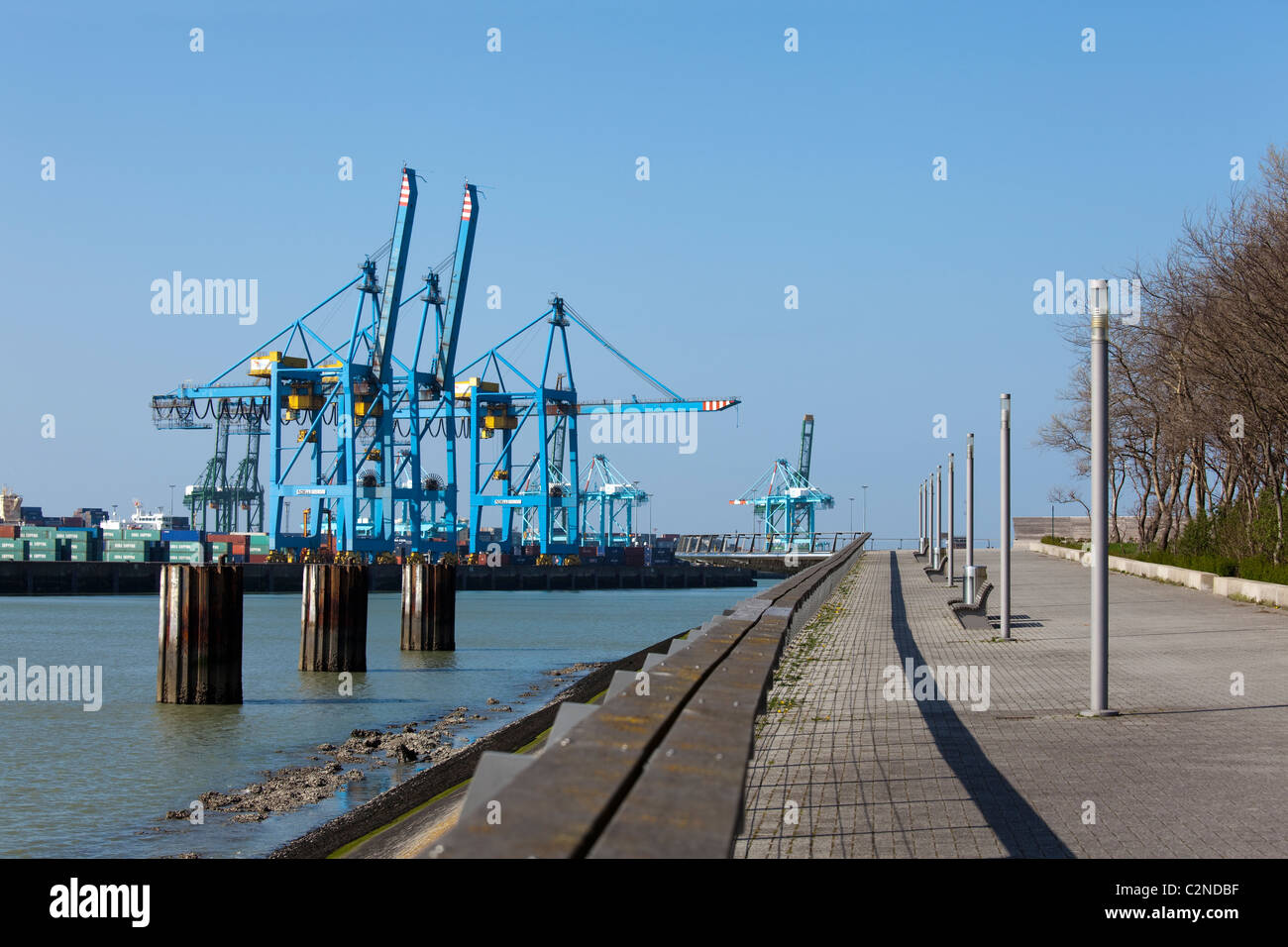 Il porto di Zeebrugge. Foto V.D. Foto Stock
