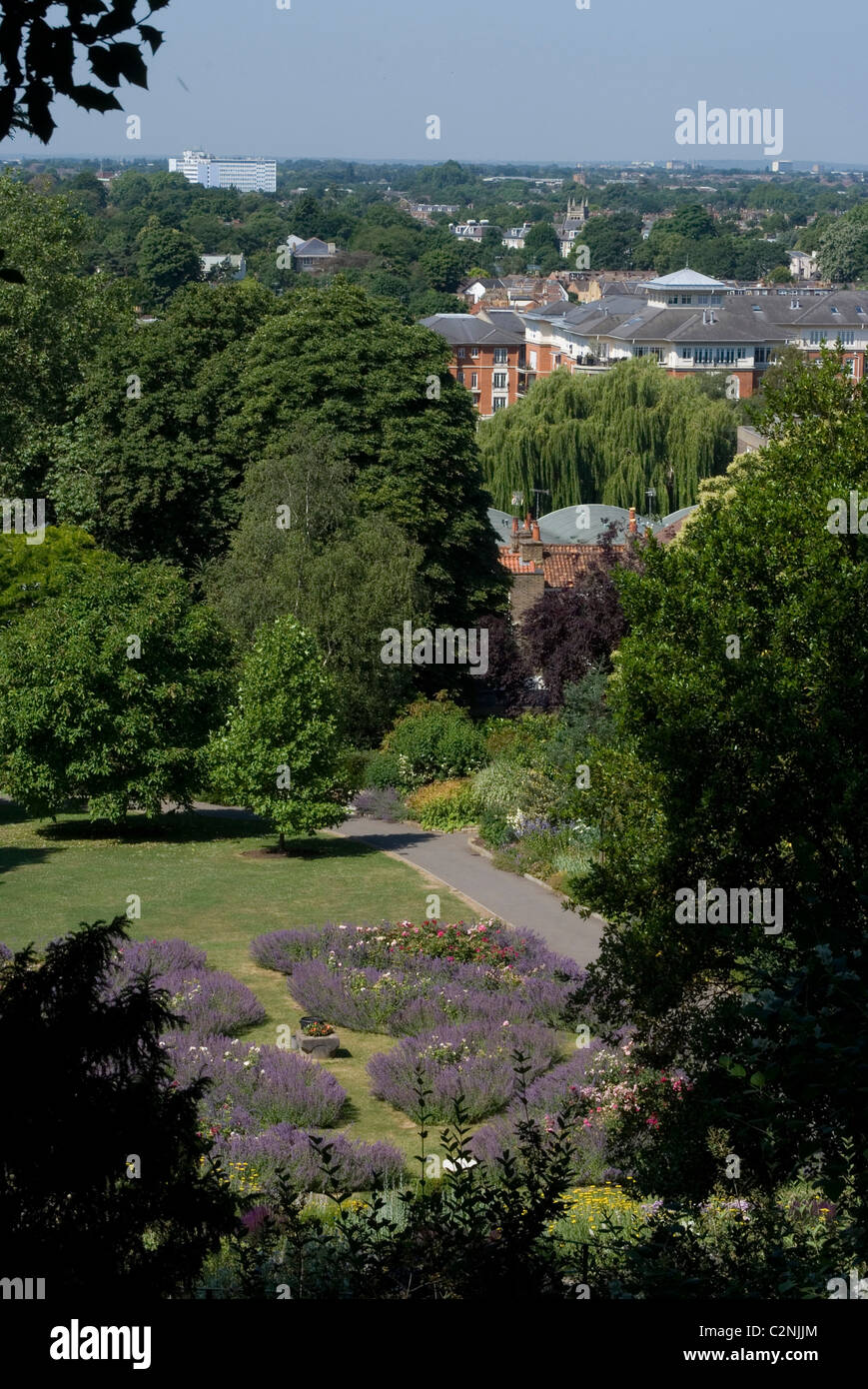 Vista da Richmond Hill su giardini a terrazza e le patch di lavanda, Richmond, Surrey, Inghilterra Foto Stock