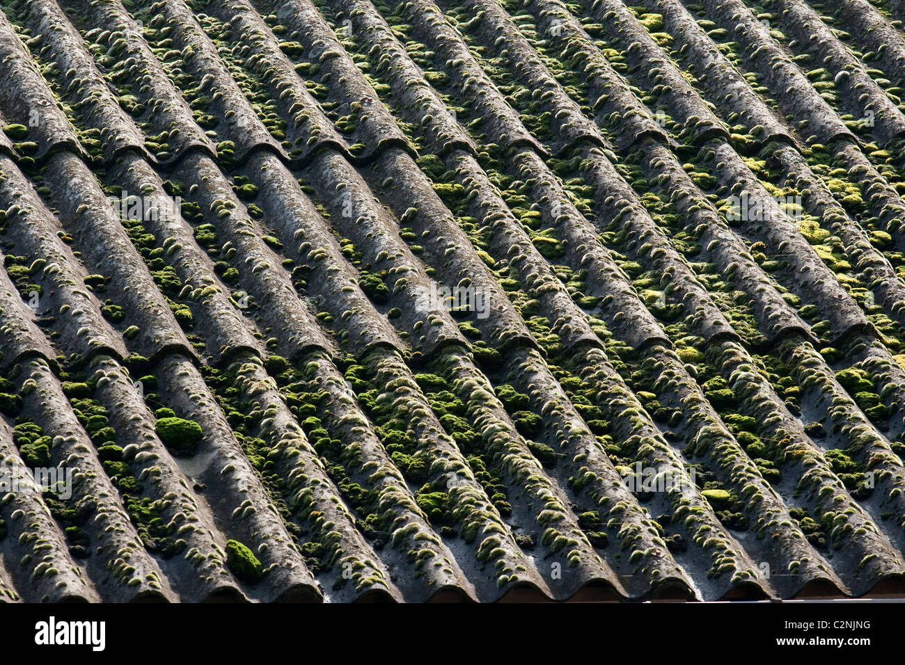 Fonte di inquinamento , ondulata di copertura del tetto sulla sostanza  inquinante eternit pannelli Foto stock - Alamy