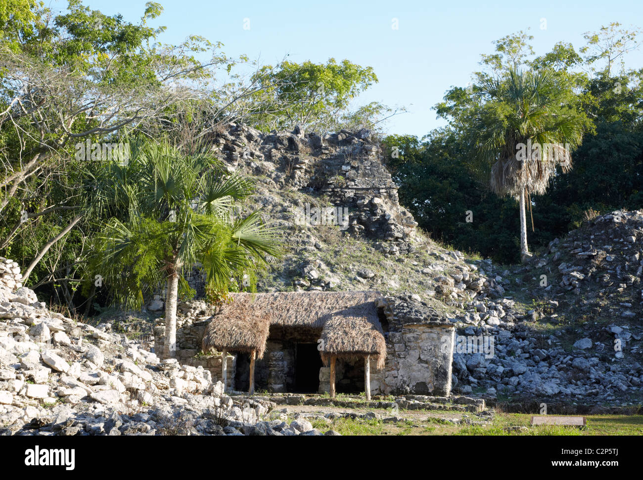 Muyil rovine di Tulum Quintana Roo MEXICO Foto Stock