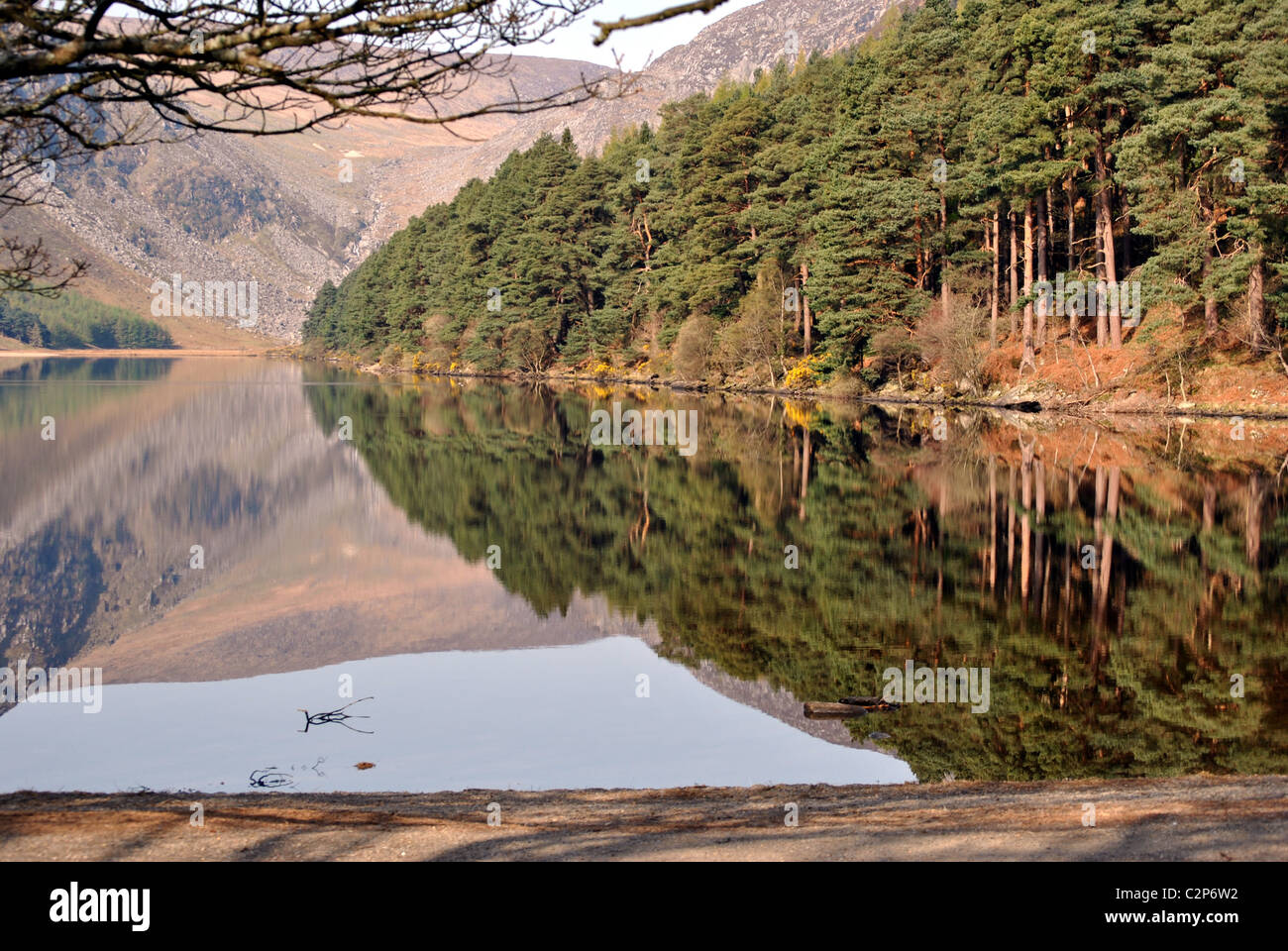 I riflessi del lago superiore a Glendalough County Wicklow Irlanda Foto Stock