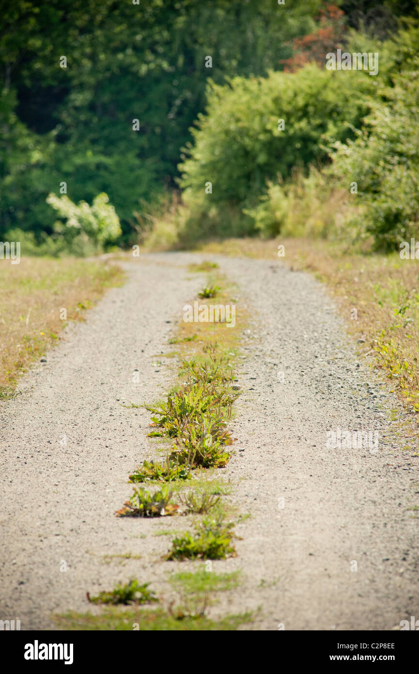Strada sterrata, Svezia Foto Stock