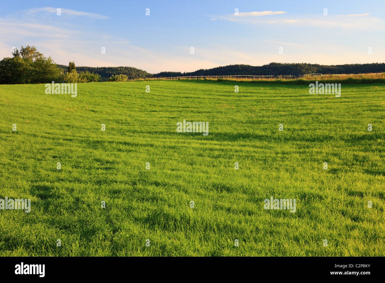 Bellissimo paesaggio norvegese prima del tramonto, scandinavo in Europa. Foto Stock