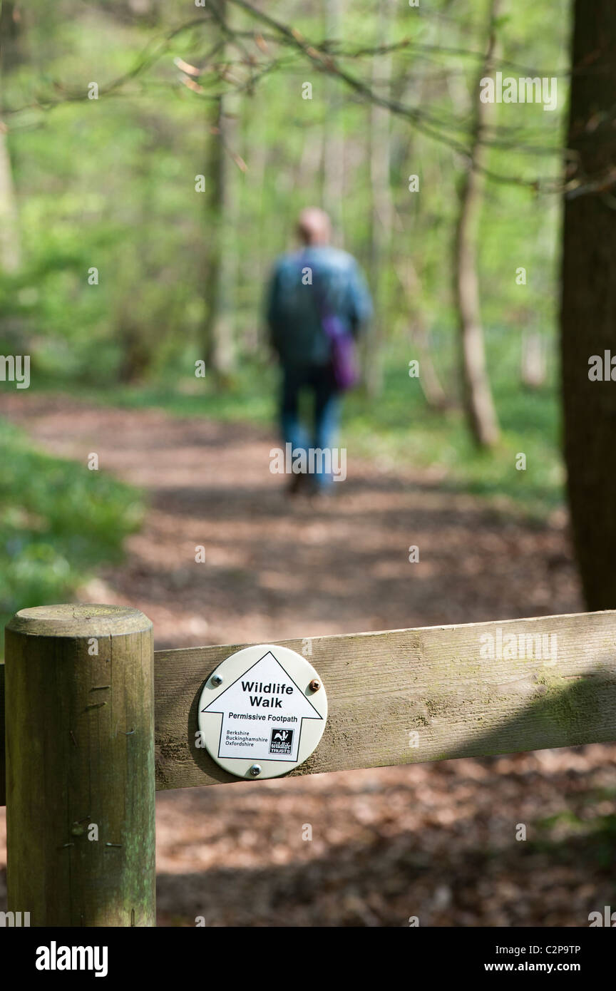 La fauna selvatica a piedi segno su un recinto di fronte un uomo che cammina in un bosco BBOWT Wildlife riserva naturale in primavera. Oxfordshire, Regno Unito Foto Stock