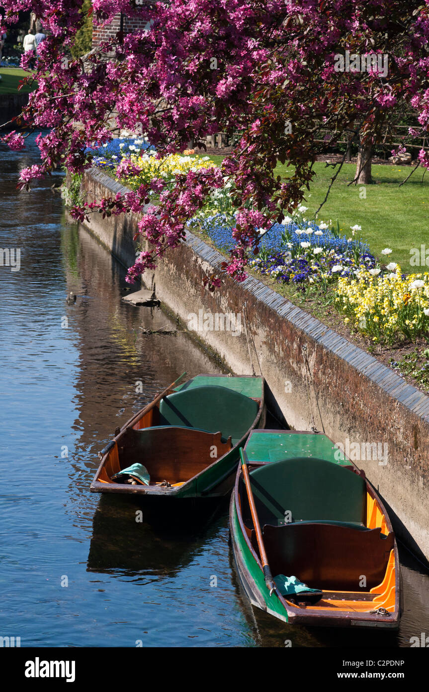 Punt barche sul Fiume Stour, Westgate giardini, Canterbury, Kent, Regno Unito Foto Stock