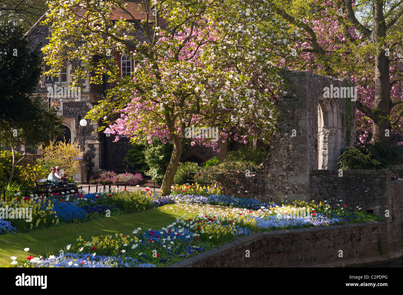 Westgate giardini in primavera, Canterbury, Kent, Regno Unito Foto Stock