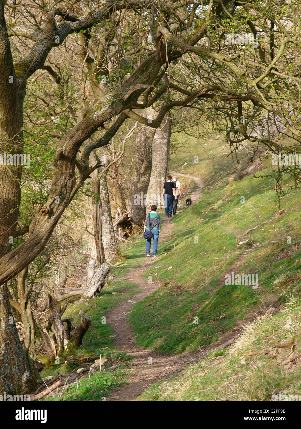 Offa's Dyke percorso sotto Eglwyseg Creigiau attraverso la valle Eglwyseg Denbighshire, Galles Foto Stock