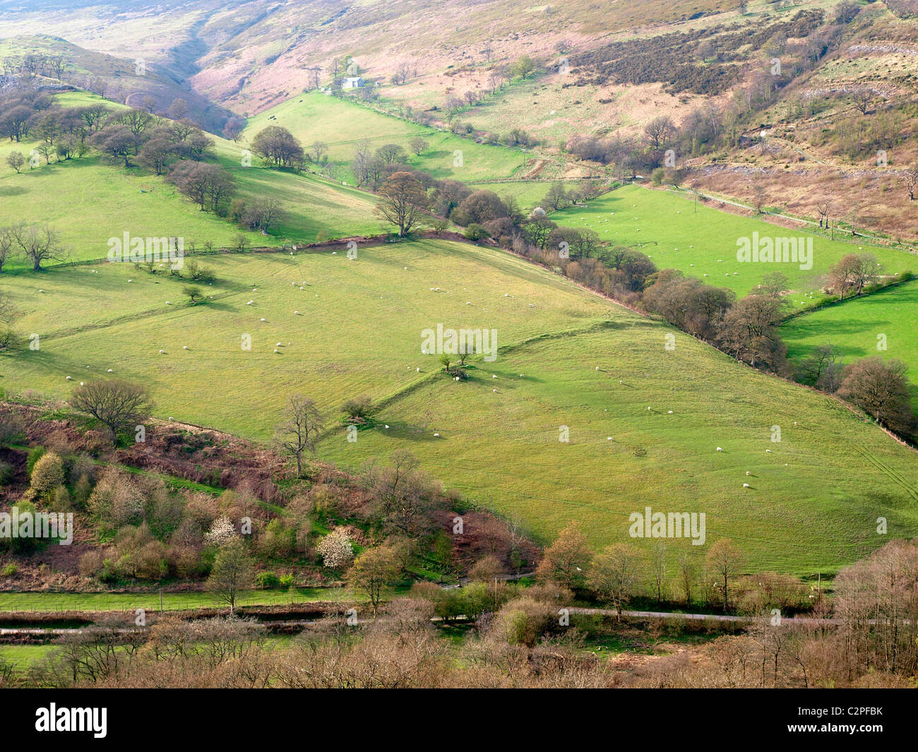 Valle Eglwyseg da Offa's Dyke percorso da Eglwyseg Mountain (Creigiau Eglwyseg) Denbighshire, Galles Foto Stock