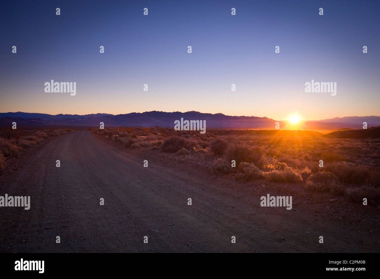 Deserto Sunrise & strada sterrata, Nevada USA Foto Stock