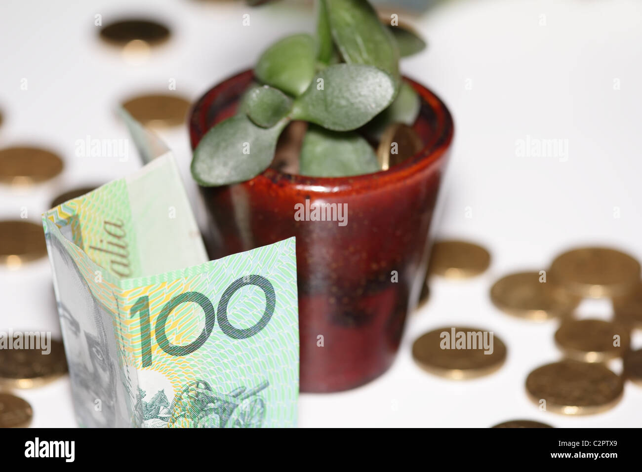 Australian banconote da cento dollari con Money Tree e monete d'Oro Foto Stock