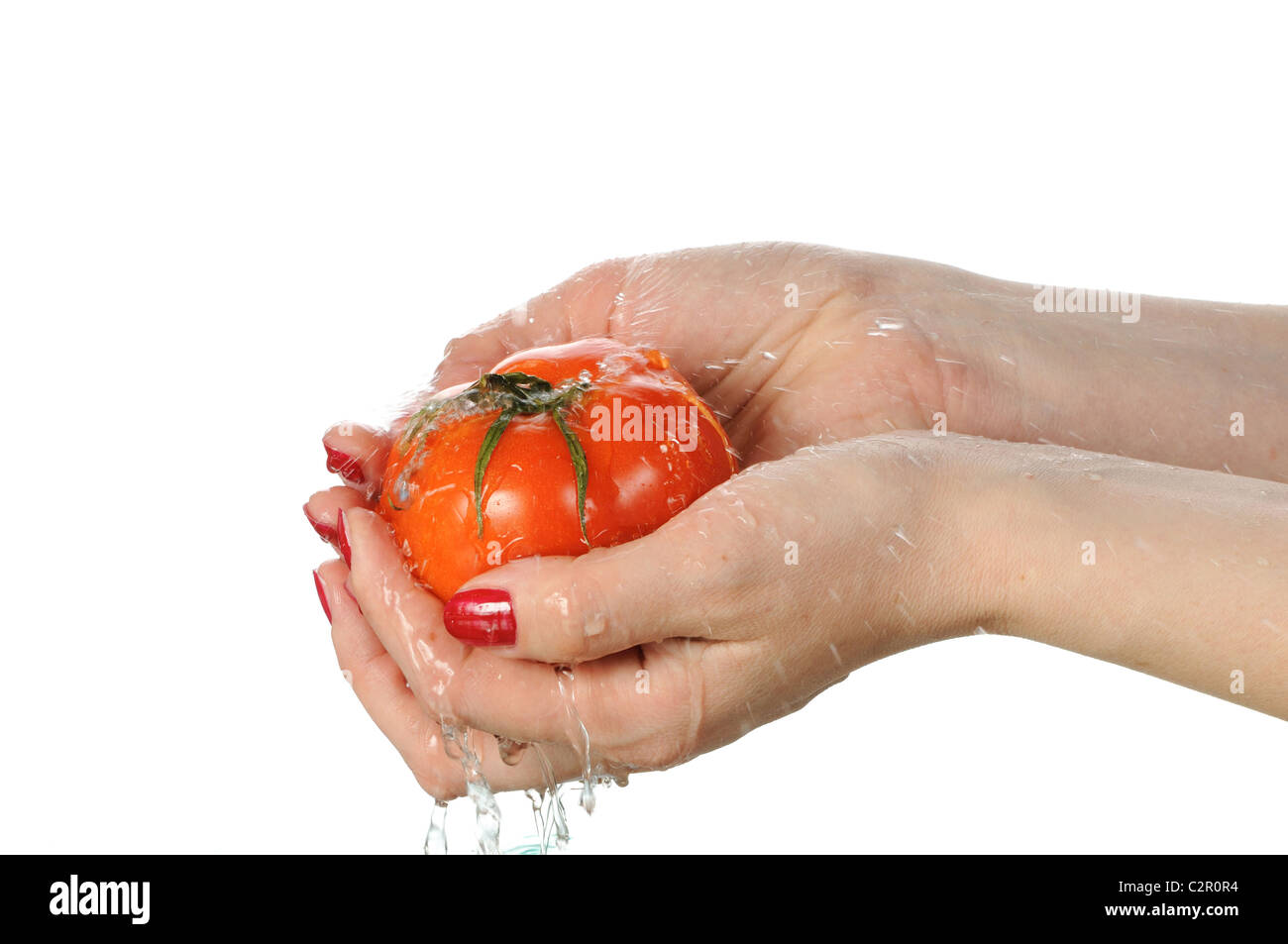 Per lavare un pomodoro rosso sotto l'acqua isolati su sfondo bianco Foto Stock