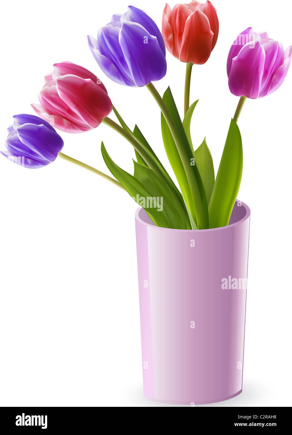 Tulipani di vettore in rosa, viola e rosso in un vaso rosa Foto Stock