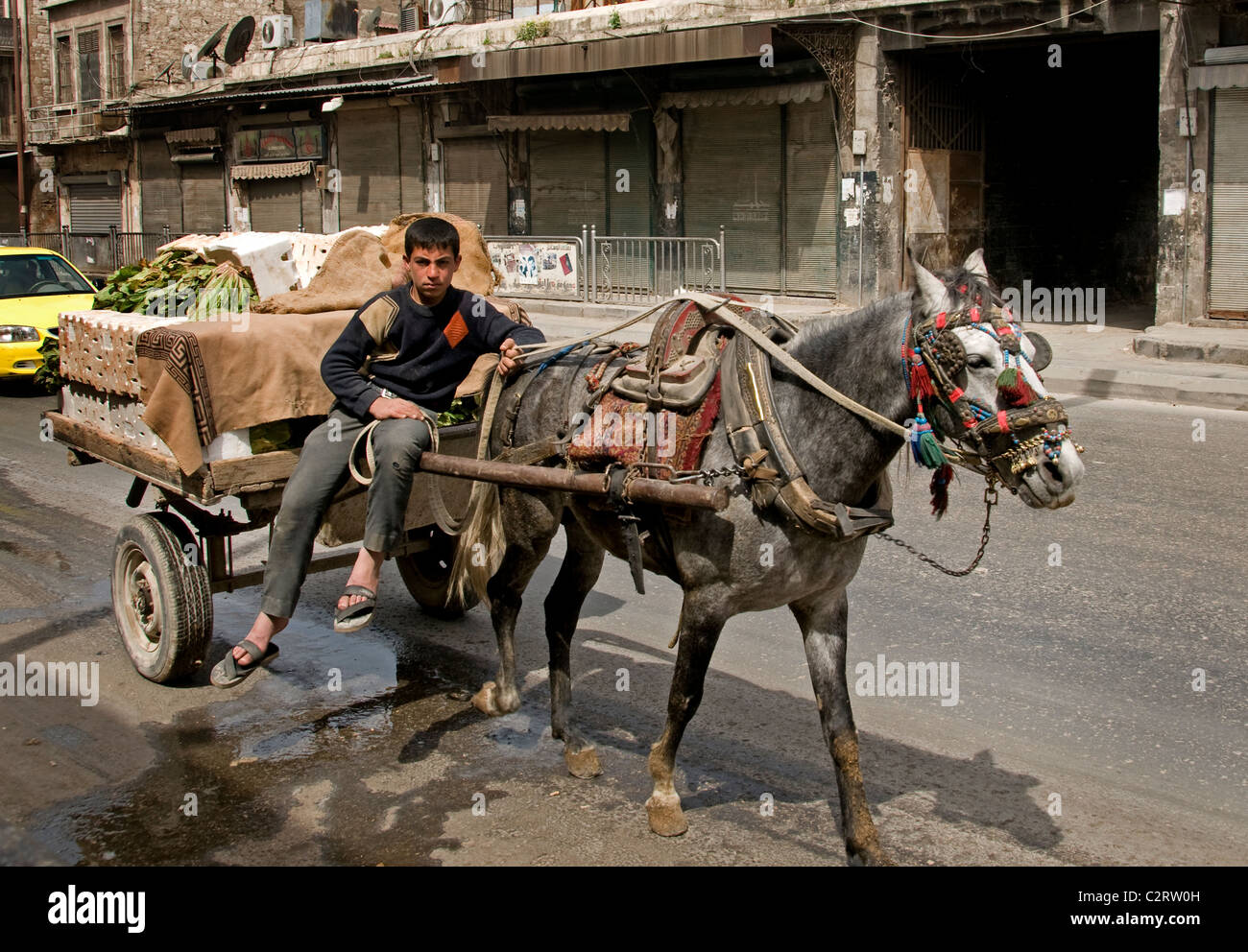 Carrello cavallo boy Aleppo Town City Siria Syrian Medio Oriente Foto Stock