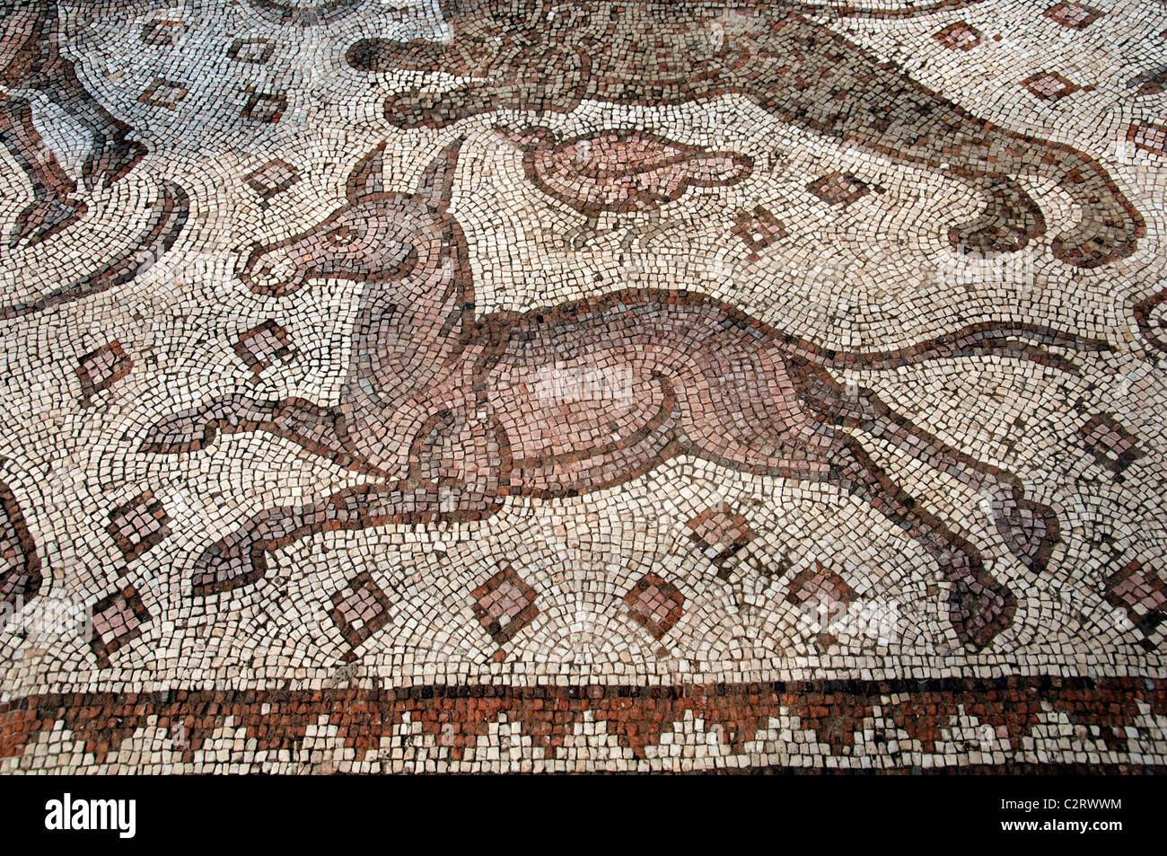 Roman Bisanzio mosaico bizantino mosaici Museo di Aleppo Siria Syrian Medio Oriente Foto Stock