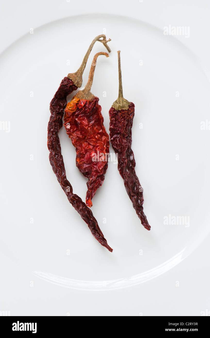 Secchi Peperoncino Kashmir posato su una piastra bianca Foto Stock