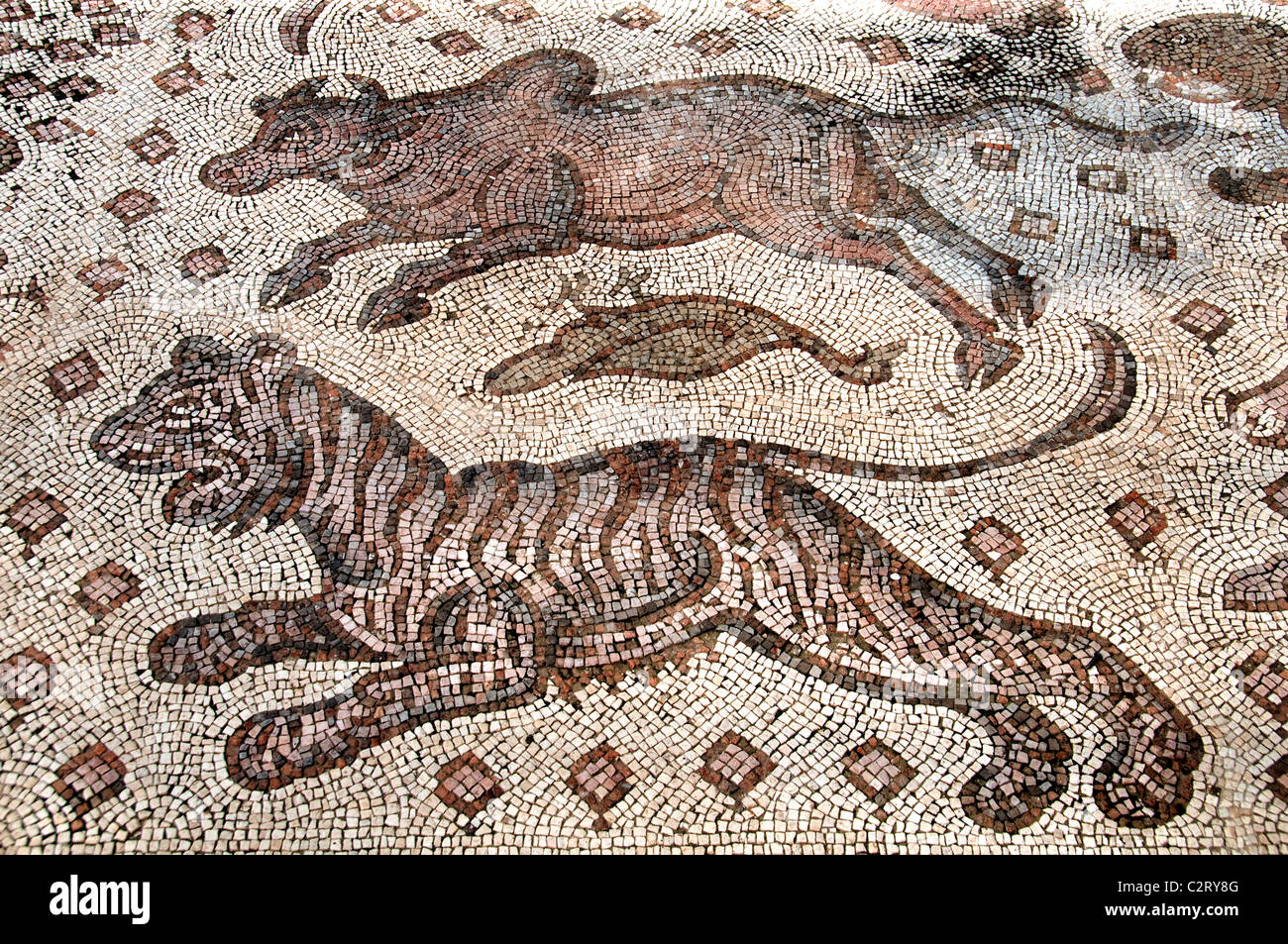 Roman Bisanzio mosaico bizantino mosaici Museo di Aleppo Siria Syrian Medio Oriente Foto Stock