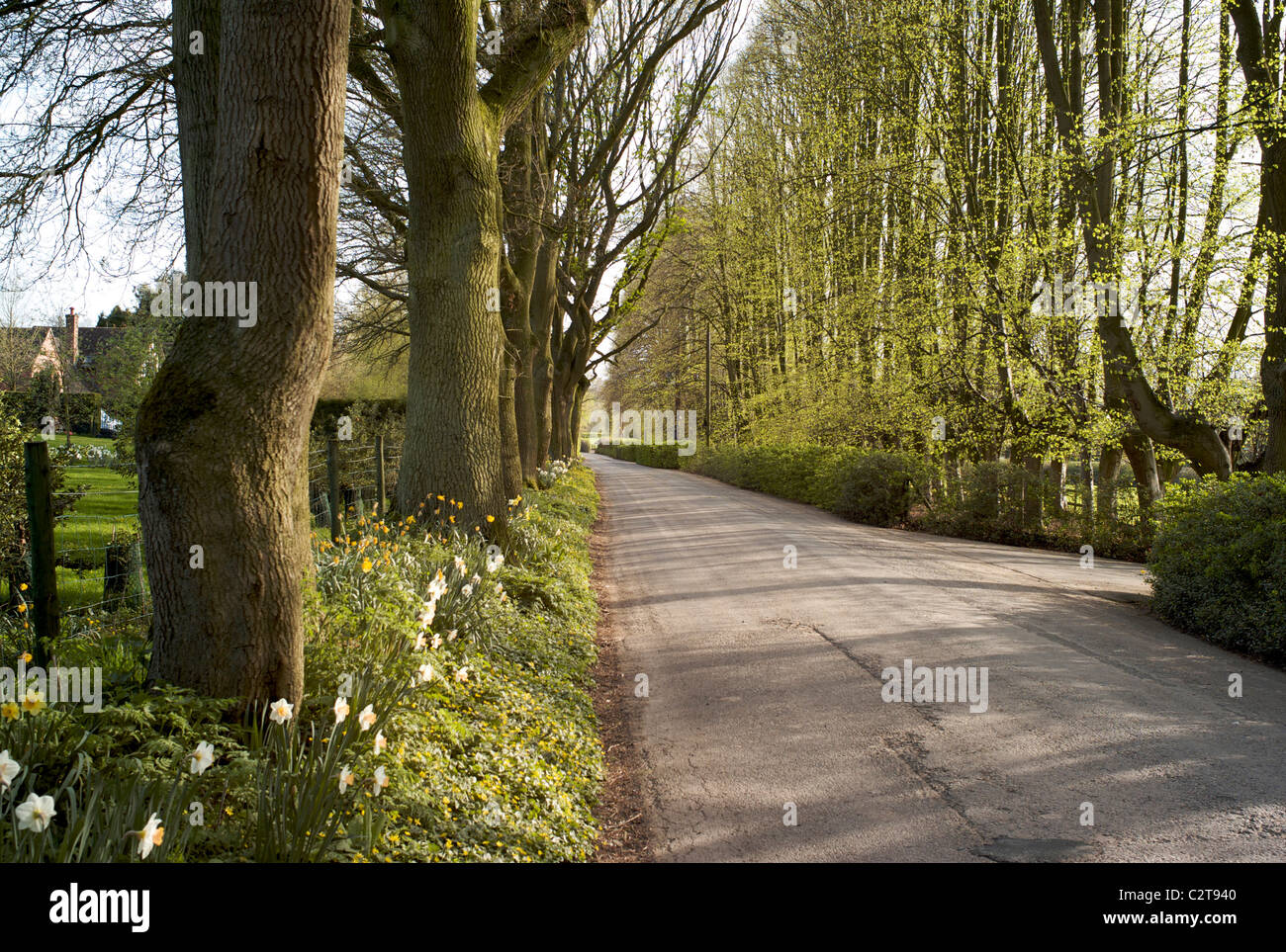 Vicolo del paese nella primavera Shropshire REGNO UNITO Foto Stock