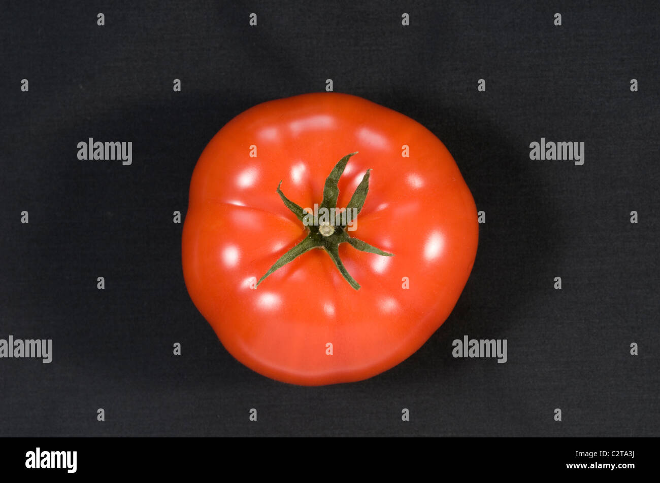 Pomodoro Foto Stock