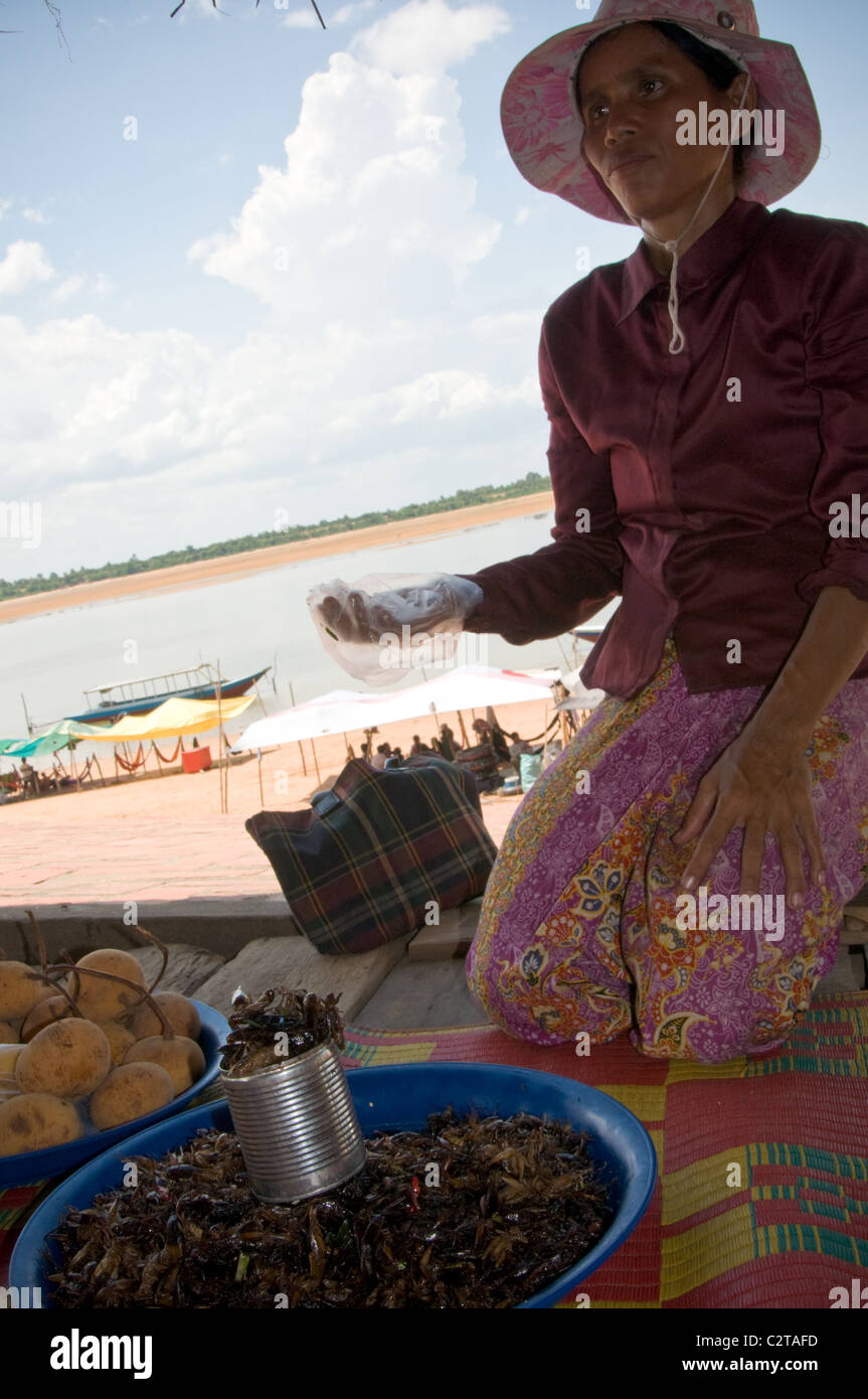 Cambogia, Maggio 2010 - cibo cambogiano venditore a vendere i bug e frutta Foto Stock